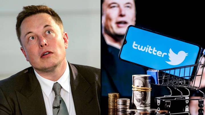 埃隆·马斯克（Elon Musk）希望摆脱Twitter上的机器人，尽管他的一半追随者是“假”