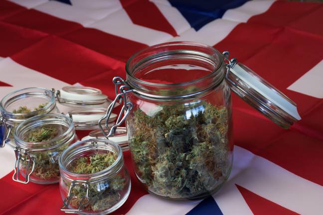 英国在2018年合法化了医用大麻的使用。信贷：Alamy