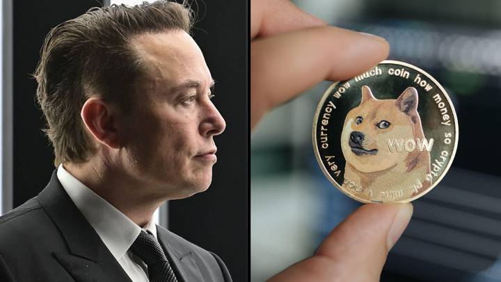 埃隆·马斯克（Elon Musk）因涉嫌Dogecoin金字塔计划而被起诉2580亿美元