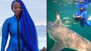 自由潜水员称为“蓝头发的美人鱼”与鲨鱼搏斗