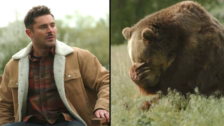 PETA抨击扎克·埃夫隆（Zac Efron）拍摄了用圈养熊拍摄广告