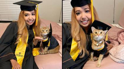 猫毕业后，大学毕业于Zoom上的每个班级