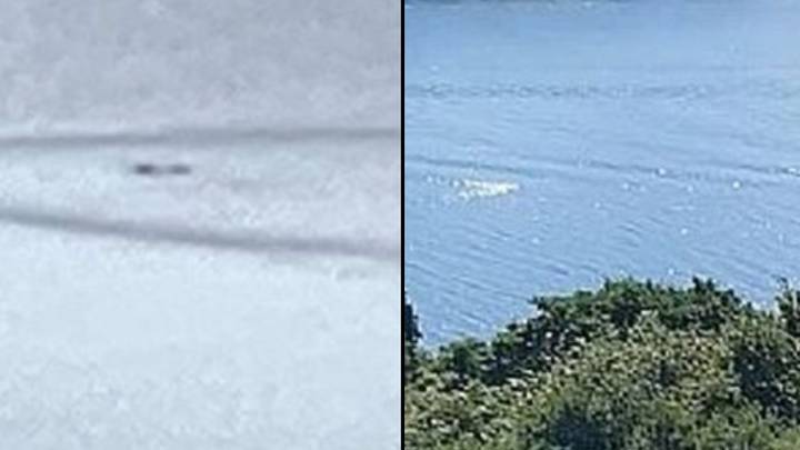 尼斯尼斯湖上的神秘黑色肿块已被录制