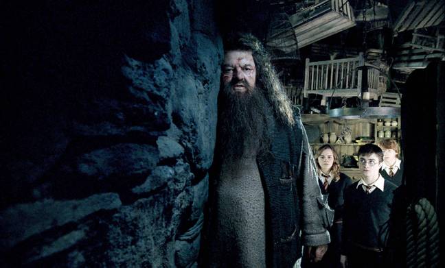 Coltrane在Harry Potter系列中扮演Rubeus Hagrid的角色而闻名。信用：华纳兄弟图片