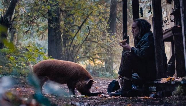 他的新电影Pig收到了好评如潮。信用：Alamy