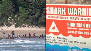 神秘世界上最致命的海滩爆炸了致命的鲨鱼袭击