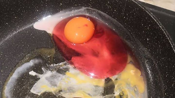 妈妈将奇怪的变色鸡蛋塞进她的煎锅后震惊了