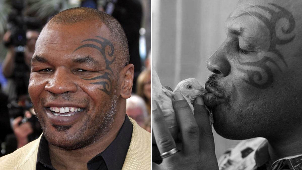 Mike Tyson Tells Incredible Story Of When He Knocked Out A Garbage Man Over  A Pigeon