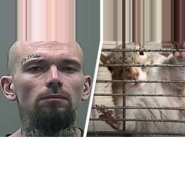 Man Accused Of Feeding Squirrel Named 'Deeznuts' Meth Now Facing New Charges