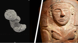 2000-Year-Old Foetus Discovered In Egyptian Mummy's Abdomen