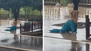 Confused Dog Waits In Rain For Two Hours After Owner Pulls Prank