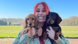 Dog Charity Denies Celebrities Are Given Special Treatment After Stacey Solomon Reveals New Pup