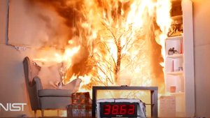 Terrifying Video Shows Why You Must Remember To Water Your Christmas Tree 
