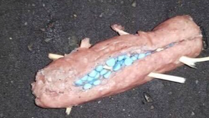 Dog Owners Urged To Stay Alert After Sausage Found Laced With Pills