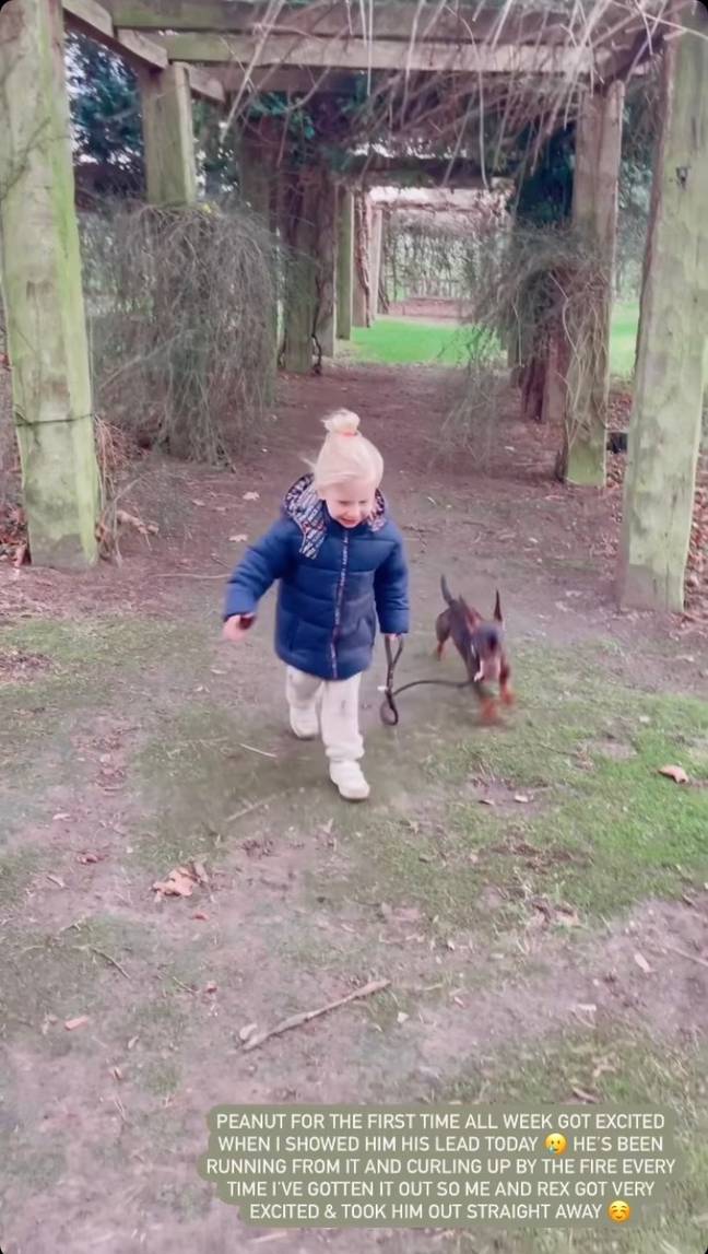 Stacey Solomon shared a video of her son Rex and pet dog Peanut on Instagram (Credit: Stacey Solomon/Instagram)