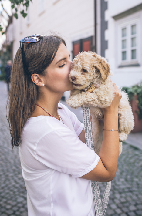 Dont be afraid to share that dog picture on Tinder (Credit: Unsplash)