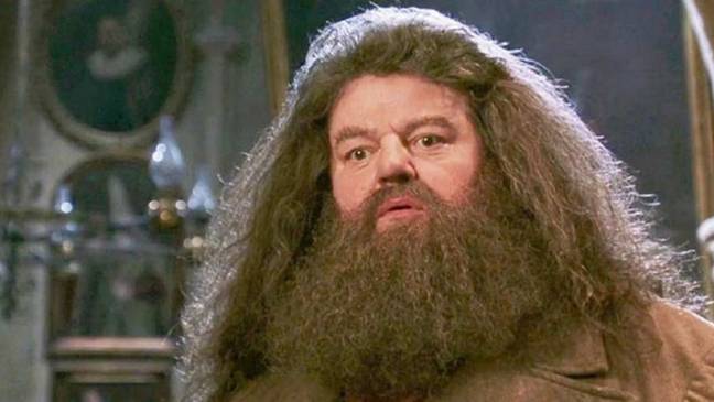 Could there be more to Hagrid than we ever knew? (Credit: Warner Bros)