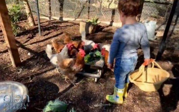Archie was back tending to his chickens (Credit: Ellentube/CBS)