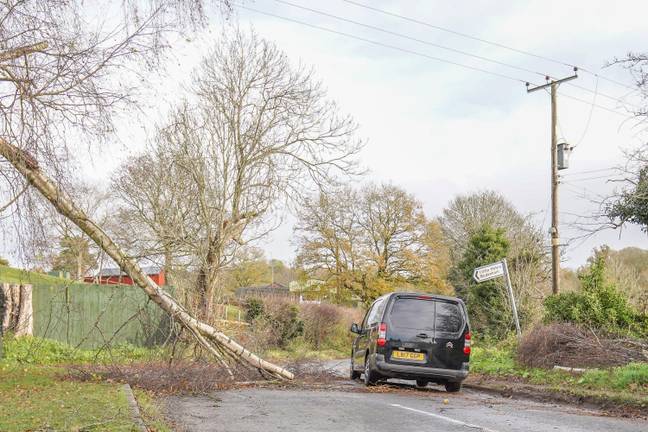 The wind caused problems during Storm Arwen. Credit: Alamy
