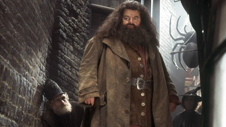 Harry Potter Fans Spot 'Mindblowing' Theory About Hagrid