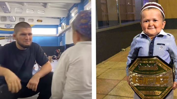 Hasbulla punches ufc fighter