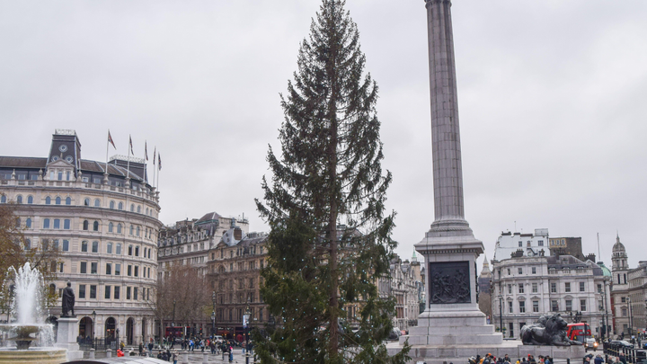 Norway Is Voting To Send A New Christmas Tree To London