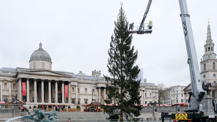 Norway Hits Back At 'Ungrateful' Brits Over Christmas Tree Gift