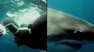 男人被大白人活着后，用“鲨鱼攻击镜头”震惊了世界