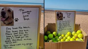 免费的网球在海滩上留在海滩上，以纪念“最好男孩”