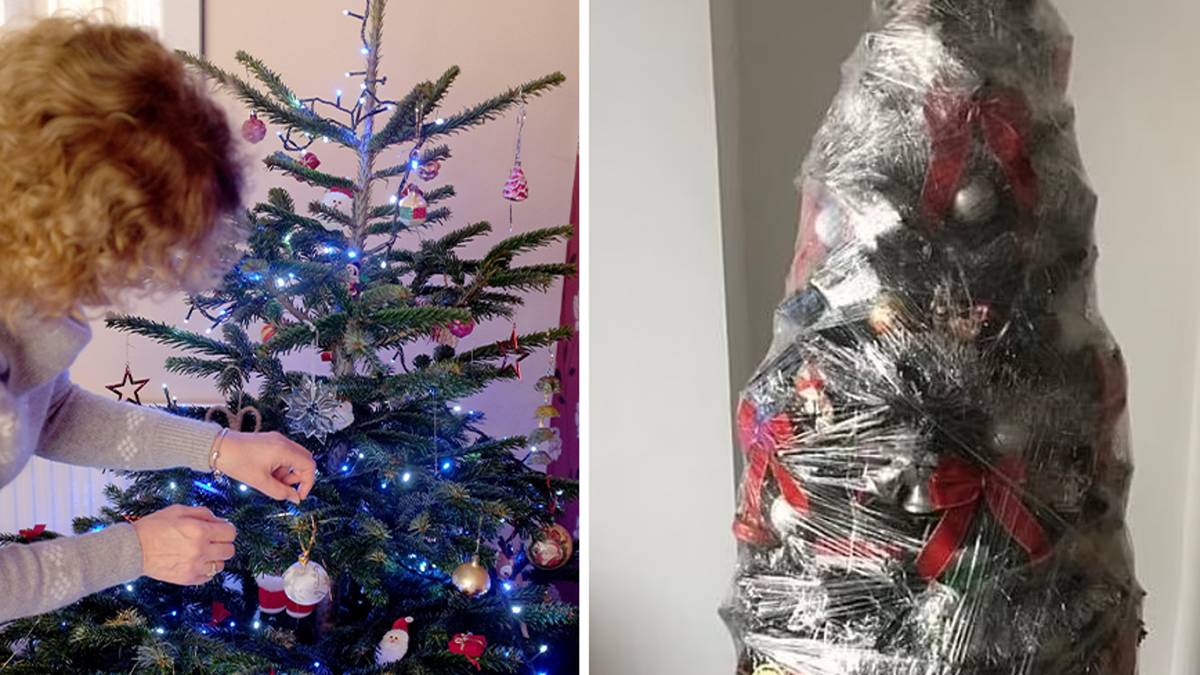 I'm a bargain hunter and my £1 B&M hack makes your Christmas tree look  fabulous without any faff involved