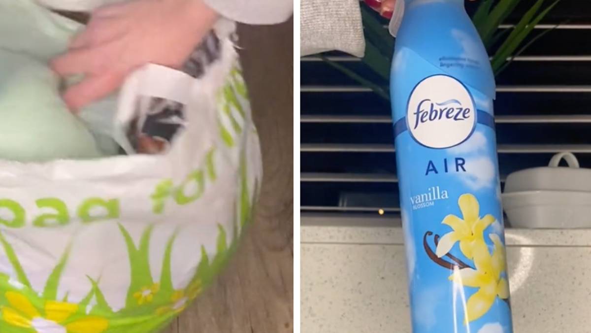 7 Reasons Why You Shouldn't Use Febreze—Or Other Chemical Air