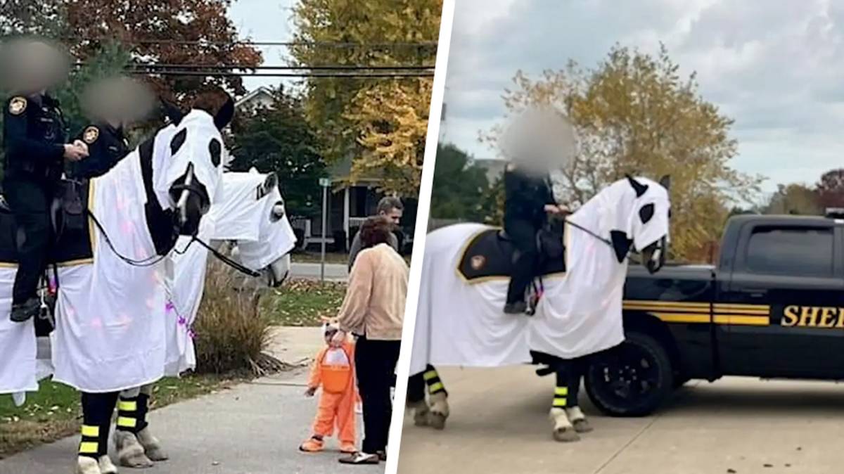 Sheriff's 'ghost' horse costume blasted for 'KKK' similarity