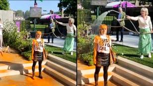 女人软管刚好停止在切尔西花展上涂抹橙色油漆的石油抗议者