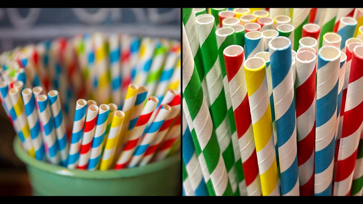 Biodegradable' drinking straws contain PFAS