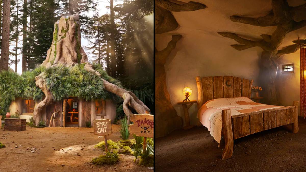 Spend the night in Shrek's Swamp, now on Airbnb