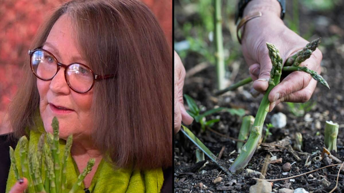 Asparagus psychic who predicted Queen’s death reveals her predictions