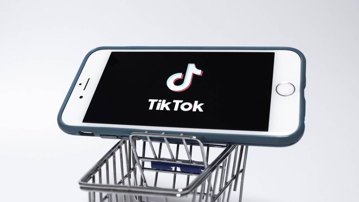 TikTok Lions Price: How Much Is the Lion Worth in US $ And UK £? -  GameRevolution