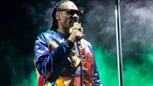 史努比·杜格（Snoop Dogg）批评WAP要求一些“想象力”和“隐私”