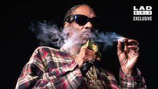 史努比·杜格（Snoop Dogg）在总统的第一天将杂草合法化