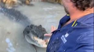 澳大利亚男子将巨大的鳄鱼推开，因为它把他缠在河里