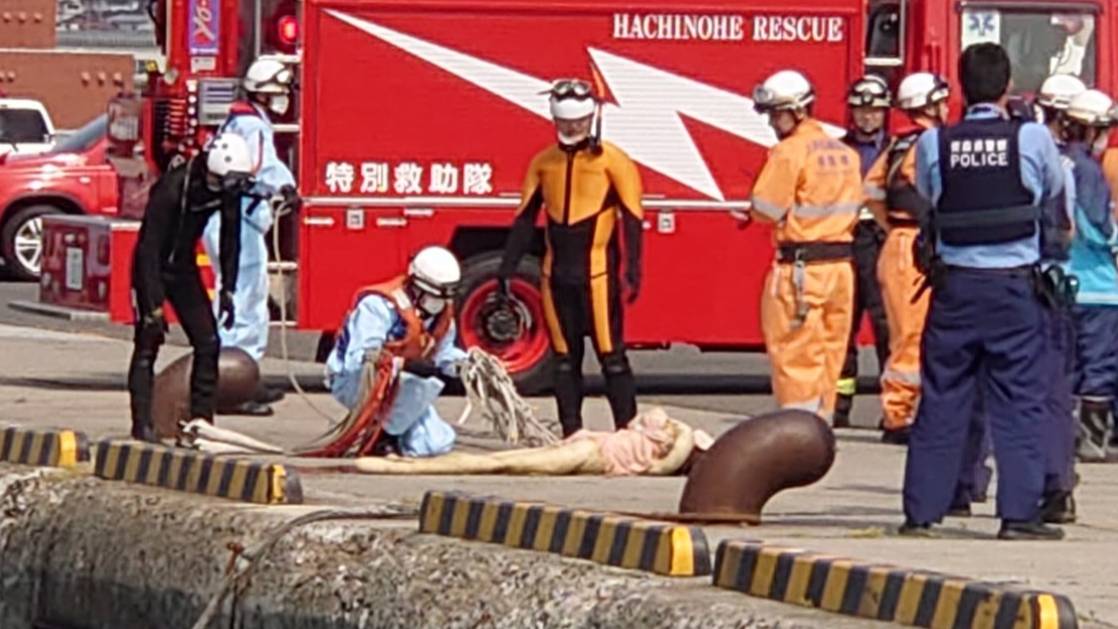 Japanese Rescuers Save ‘drowning Woman Only To Discover It Was A Sex Doll