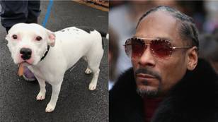 史努比·杜格（Snoop Dogg