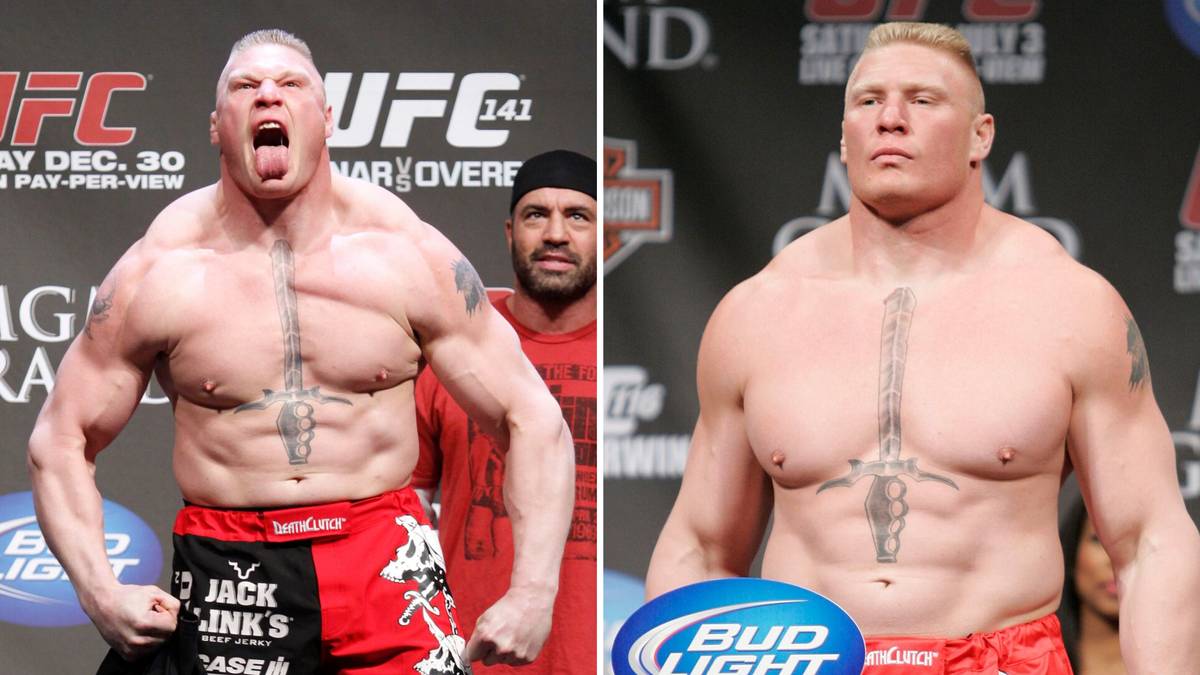 Brock Lesnar and the 20 MMA Fighters Who Could Compete in WWE, News,  Scores, Highlights, Stats, and Rumors