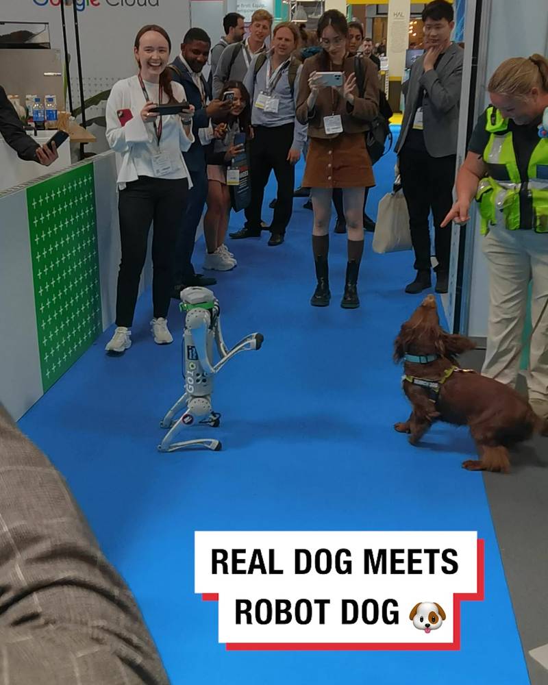 Real dog meets robot dog