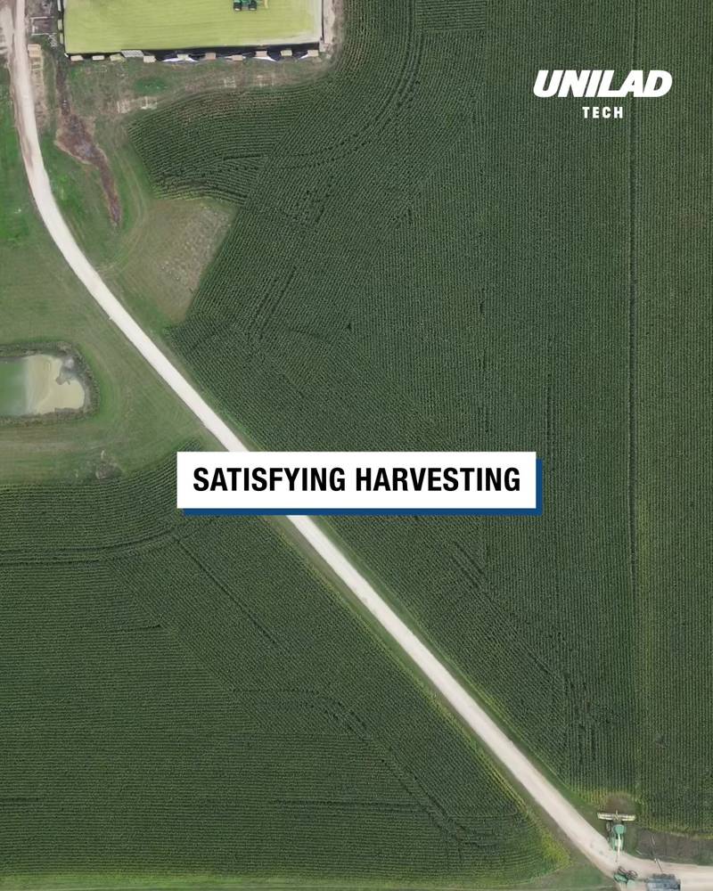Satisfying mowing farmers field