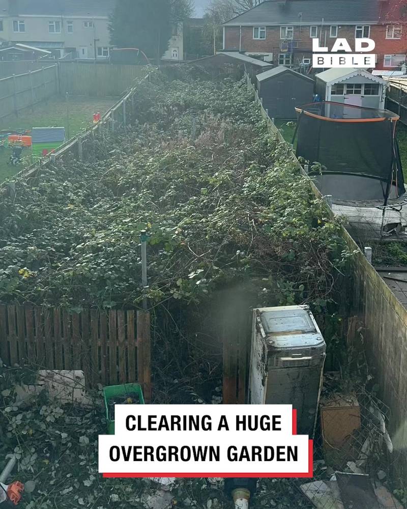 Clearing huge over grown garden