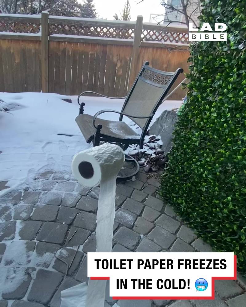 Frozen Toilet Paper
