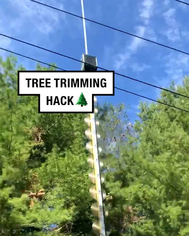 Trees Get Trimmed By Helicopter