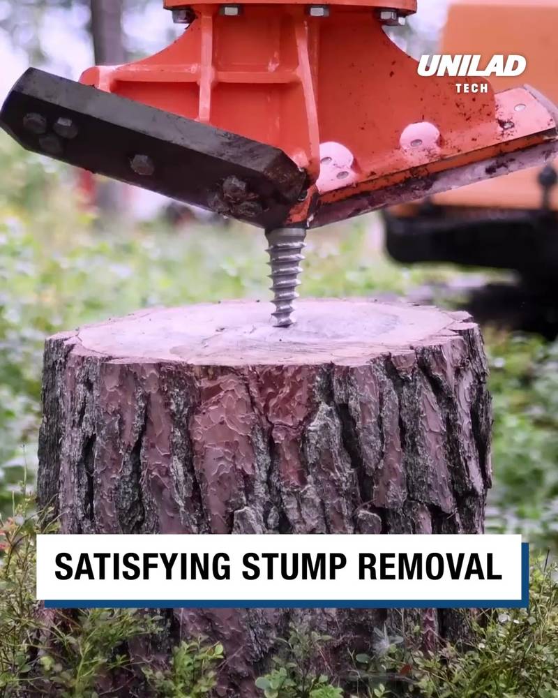 Satisfying tree stump removal