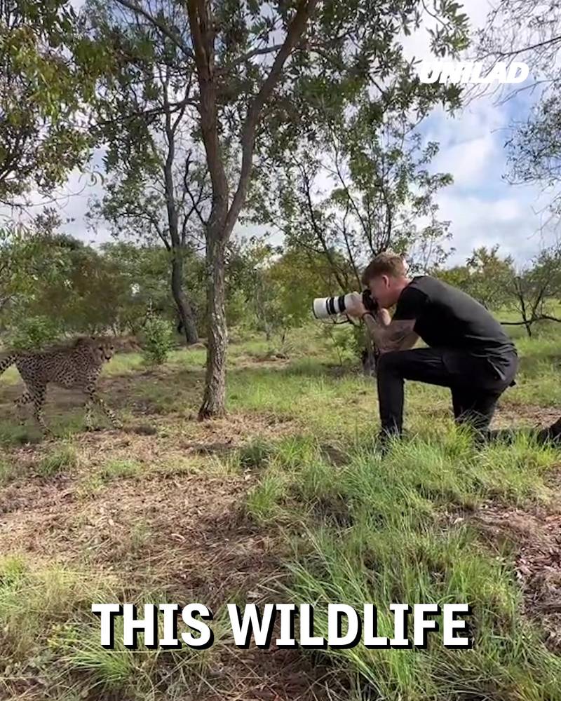 Wildlife photographer gets super close to animals 😱